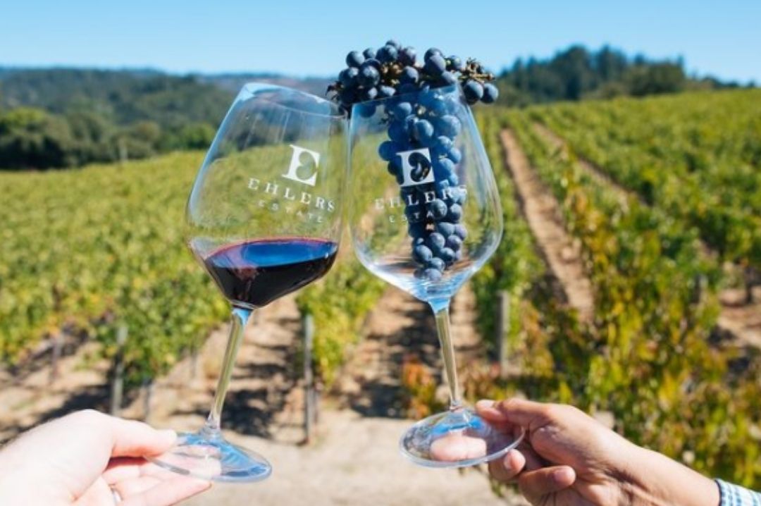 ehlers_estate_vineyards