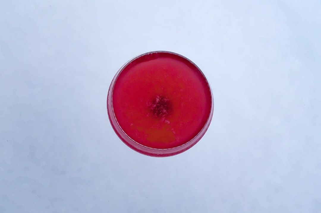 Maiden Flight maiden_flight