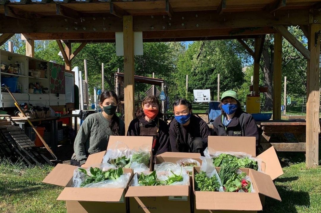 randall_island_urban_farm