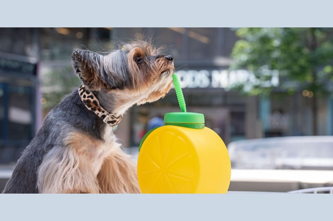 manhattan_west_woof_fest