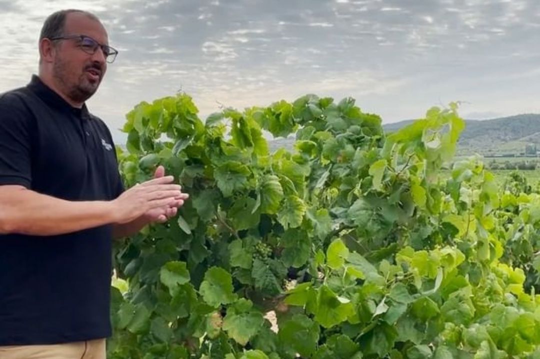 Winemaker Juanjo Munoz winemaker_Juanjo_munoz