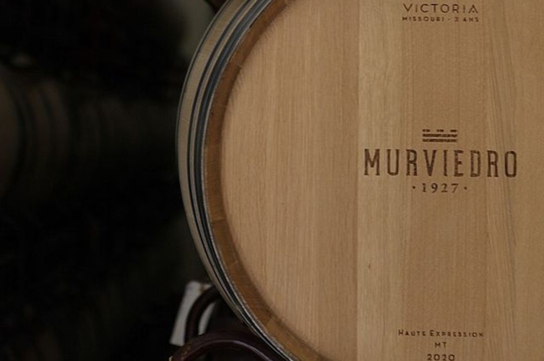 Wine Barrels wine_barrels_bodegas_murviedro_winery