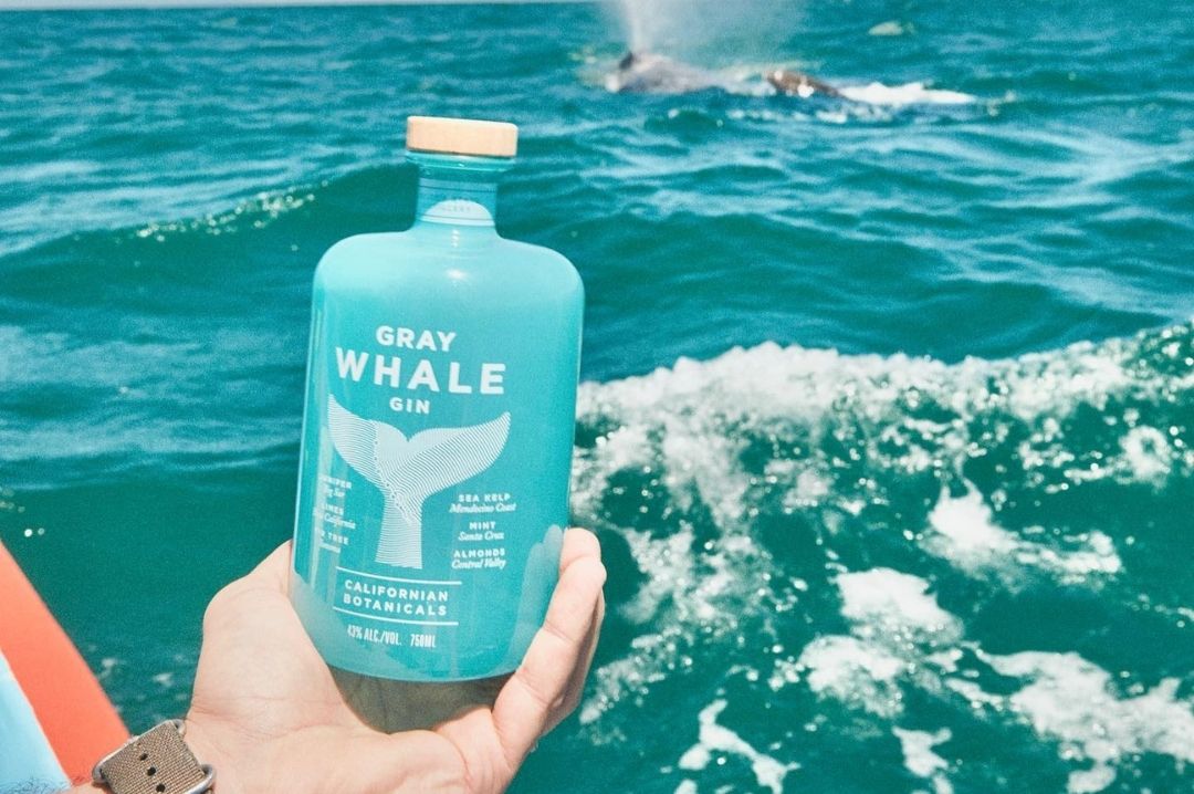 Gray Whale in the background graywhalegin sustainablebrand goldenstatedistillery