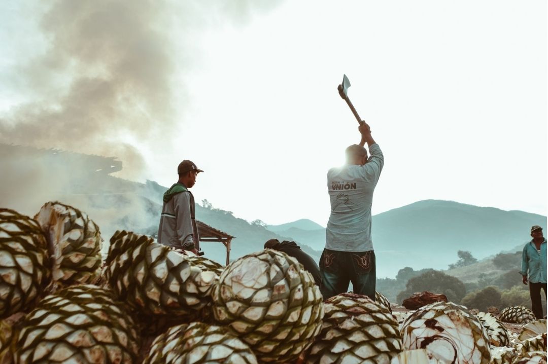 Men at work mezcalunionmembersatwork mezcalunionmexico agave sustainablebrand